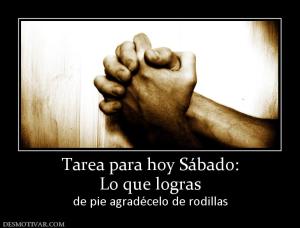 Tarea para hoy Sábado: Lo que logras de pie agradécelo de rodillas