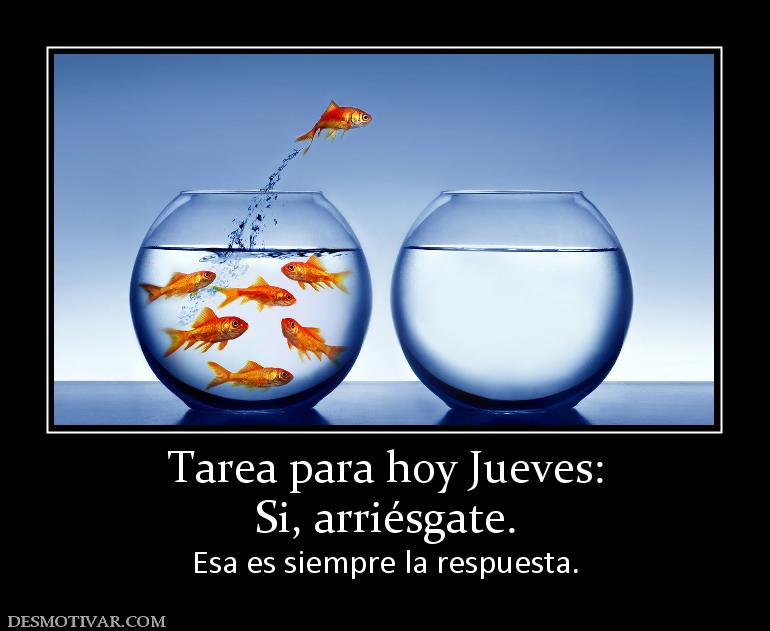 Tarea para hoy Jueves: Si, arriésgate.  Esa es siempre la respuesta.