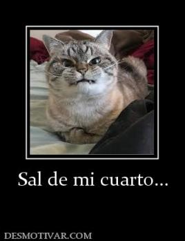Sal de mi cuarto...