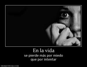 En la vida se pierde más por miedo que por intentar