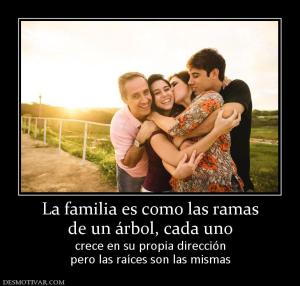 La familia es como las ramas de un árbol, cada uno crece en su propia dirección pero las raíces son las mismas