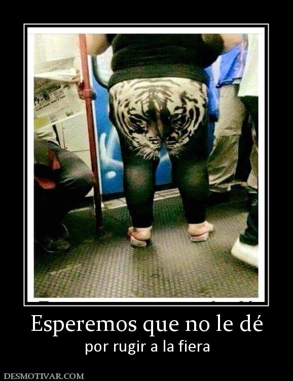 Esperemos que no le dé por rugir a la fiera