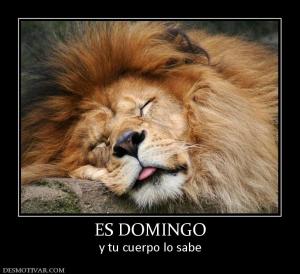 ES DOMINGO y tu cuerpo lo sabe