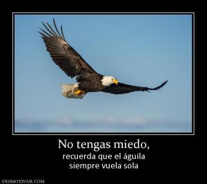 No tengas miedo, recuerda que el águila siempre vuela sola