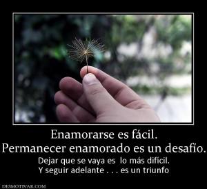 Enamorarse es fácil. Permanecer enamorado es un desafío. Dejar que se vaya es  lo más difícil. Y seguir adelante . . . es un triunfo