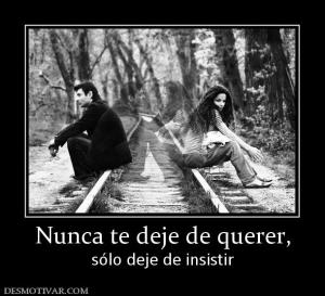 Nunca te deje de querer, sólo deje de insistir