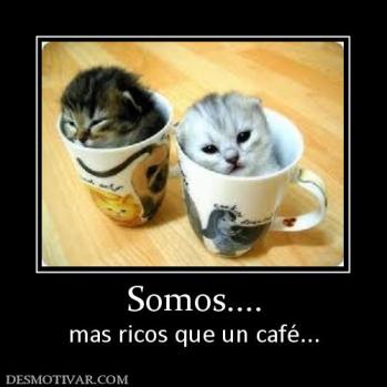 Somos.... mas ricos que un café...