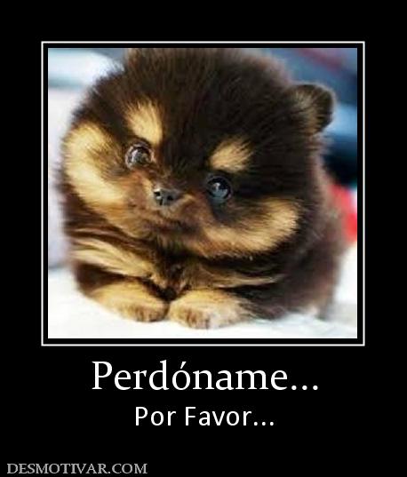 Perdóname... Por Favor...