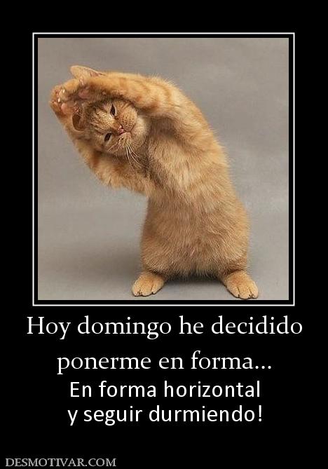Hoy domingo he decidido ponerme en forma... En forma horizontal y seguir durmiendo!