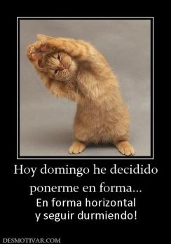 Hoy domingo he decidido ponerme en forma... En forma horizontal y seguir durmiendo!