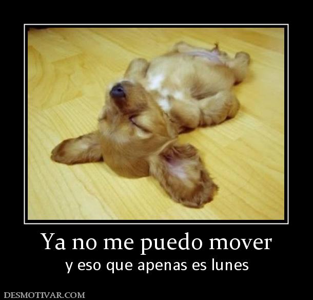 Ya no me puedo mover y eso que apenas es lunes