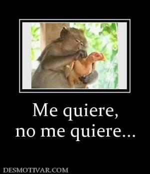 Me quiere, no me quiere...