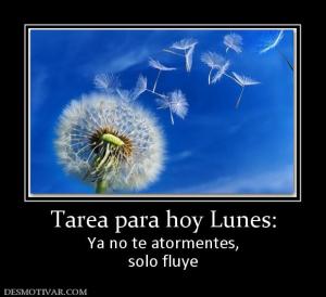 Tarea para hoy Lunes: Ya no te atormentes, solo fluye
