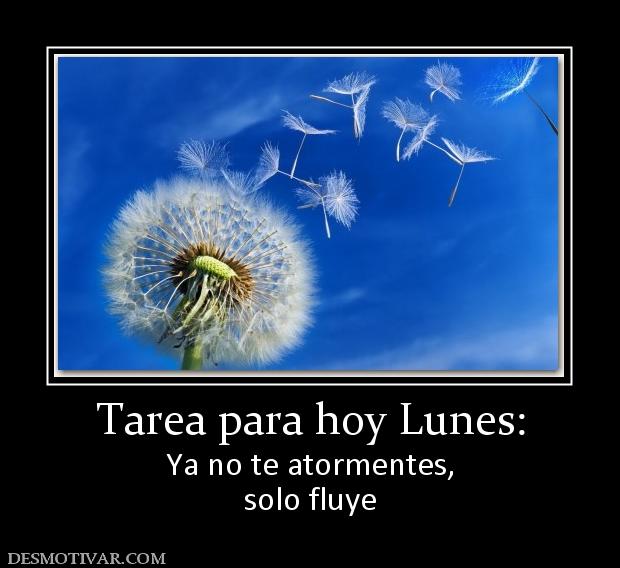 Tarea para hoy Lunes: Ya no te atormentes, solo fluye