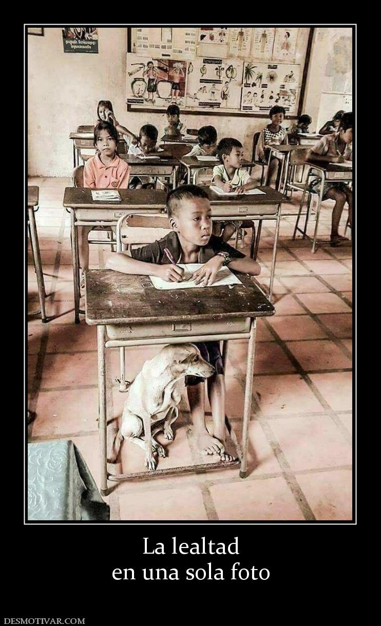 La lealtad en una sola foto