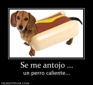 Se me antojo ... un perro caliente...