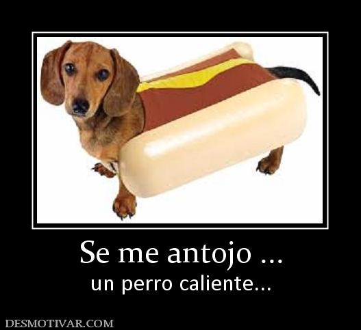 Se me antojo ... un perro caliente...