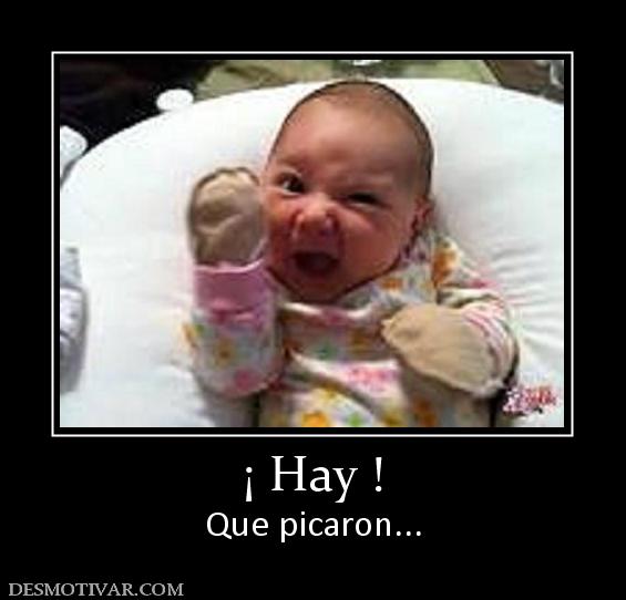 ¡ Hay ! Que picaron...