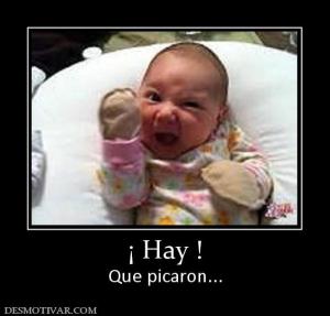 ¡ Hay ! Que picaron...