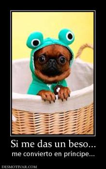 Si me das un beso... me convierto en príncipe...