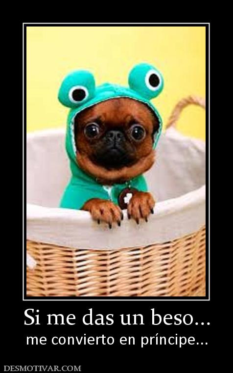 Si me das un beso... me convierto en príncipe...