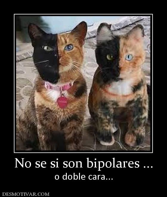 No se si son bipolares ... o doble cara...
