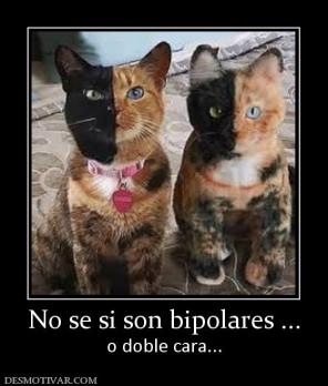 No se si son bipolares ... o doble cara...
