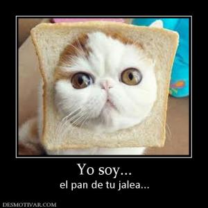 Yo soy... el pan de tu jalea...