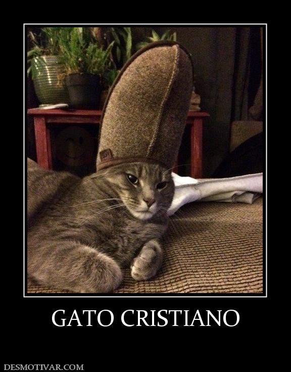 GATO CRISTIANO
