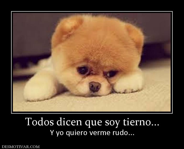 Todos dicen que soy tierno... Y yo quiero verme rudo...