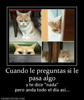 Cuando le preguntas si le pasa algo y te dice  pero anda todo el día así...