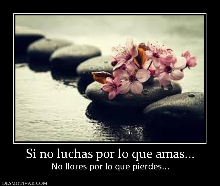 Si no luchas por lo que amas... No llores por lo que pierdes...