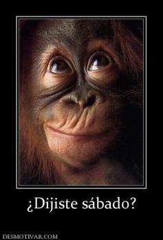 ¿Dijiste sábado?