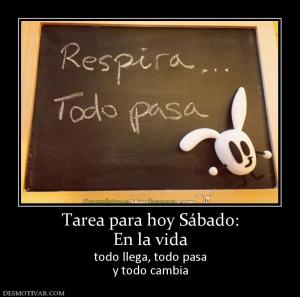 Tarea para hoy Sábado: En la vida todo llega, todo pasa y todo cambia