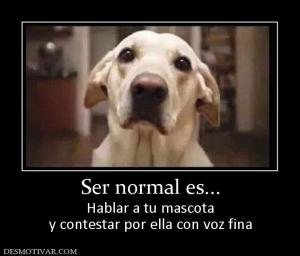 Ser normal es... Hablar a tu mascota y contestar por ella con voz fina