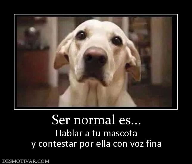 Ser normal es... Hablar a tu mascota y contestar por ella con voz fina