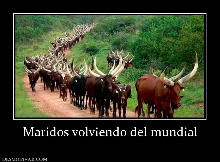 Maridos volviendo del mundial