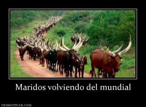 Maridos volviendo del mundial