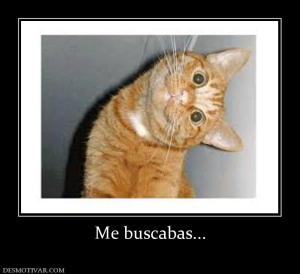 Me buscabas...