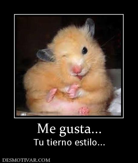 Me gusta... Tu tierno estilo...