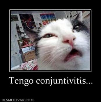 Tengo conjuntivitis...