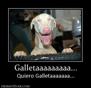 Galletaaaaaaaaa... Quiero Galletaaaaaaa...