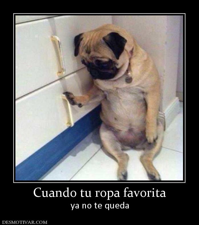 Cuando tu ropa favorita ya no te queda