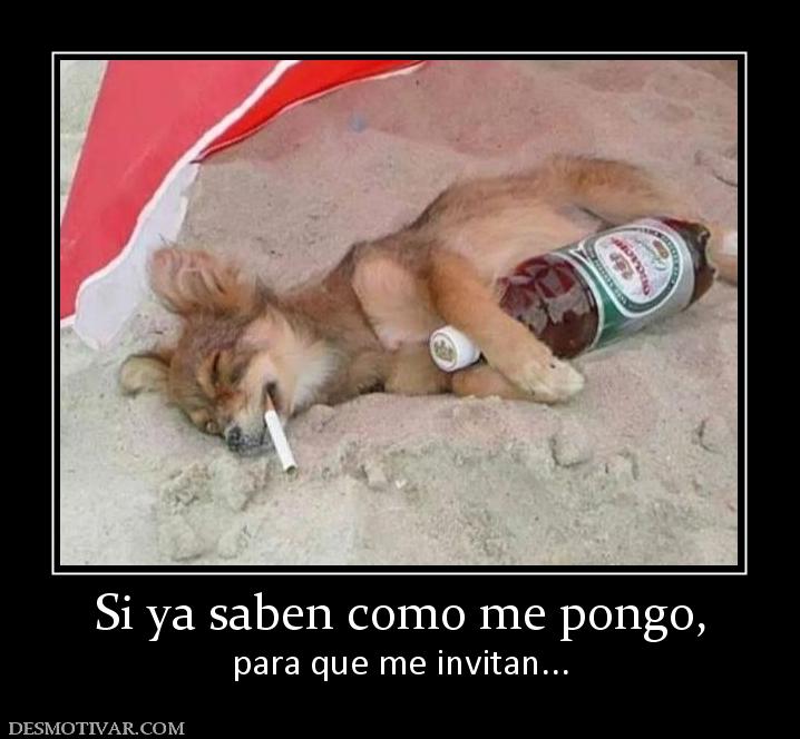 Si ya saben como me pongo, para que me invitan...