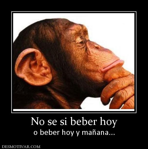 No se si beber hoy o beber hoy y mañana...