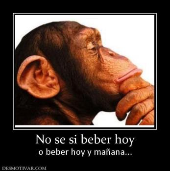 No se si beber hoy o beber hoy y mañana...