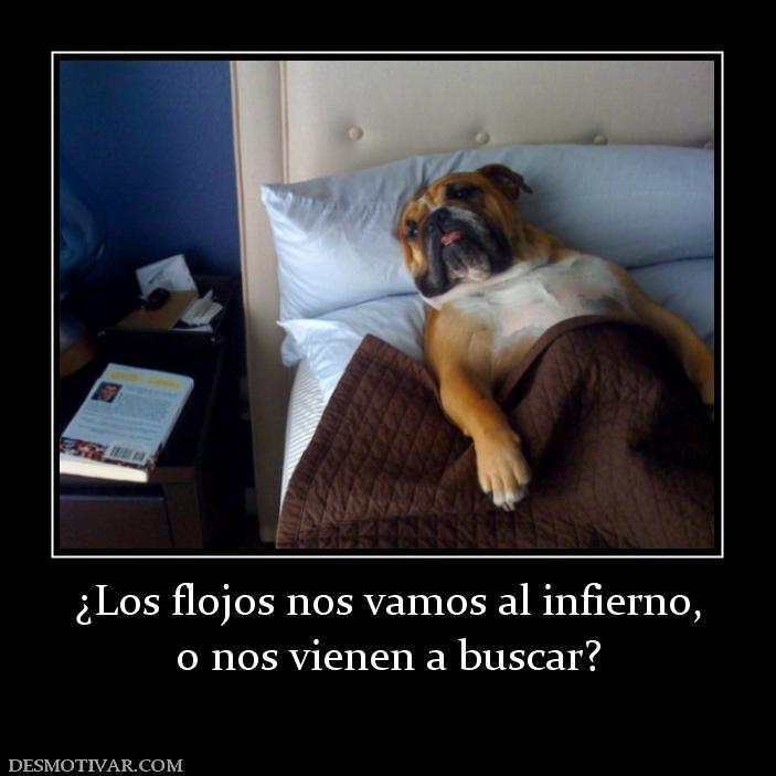¿Los flojos nos vamos al infierno, o nos vienen a buscar?