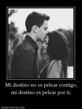 Mi destino no es pelear contigo, mi destino es pelear por ti.