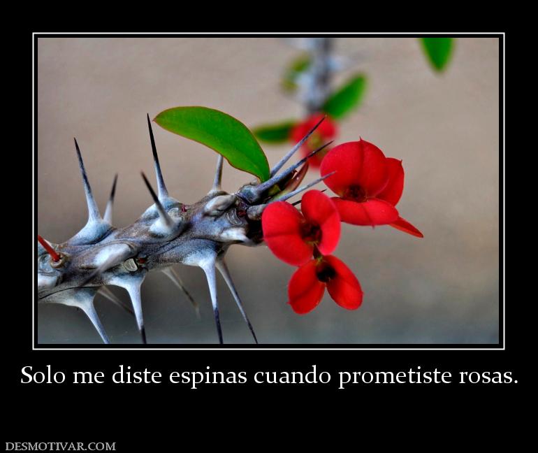 Solo me diste espinas cuando prometist