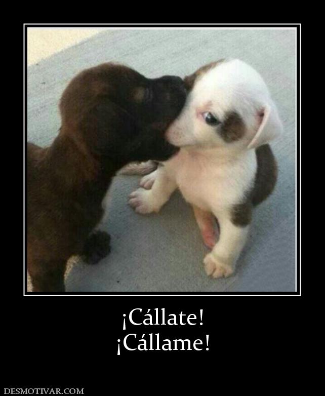 ¡Cállate! ¡Cállame!